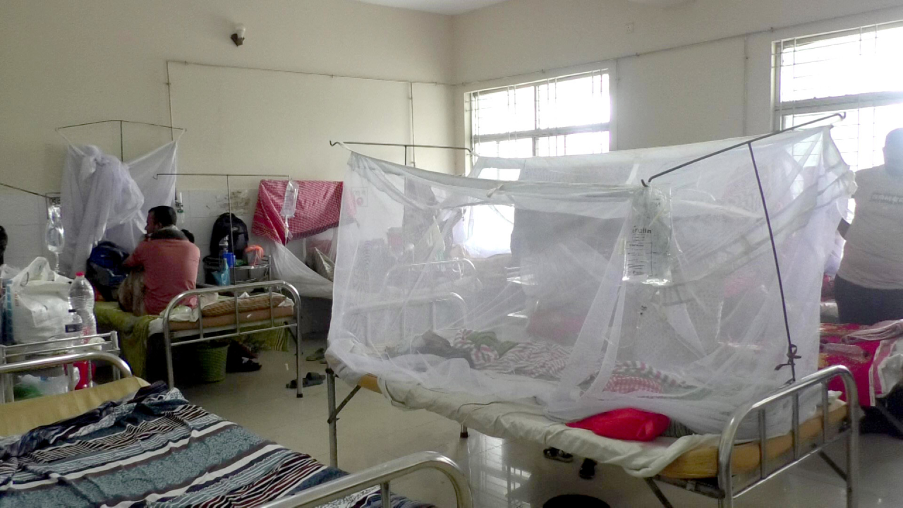 3 people die of dengue in a day, 331 hospitalized
