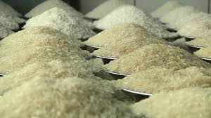 Rice prices in the world market are lowest in eight years, rising in the BD market