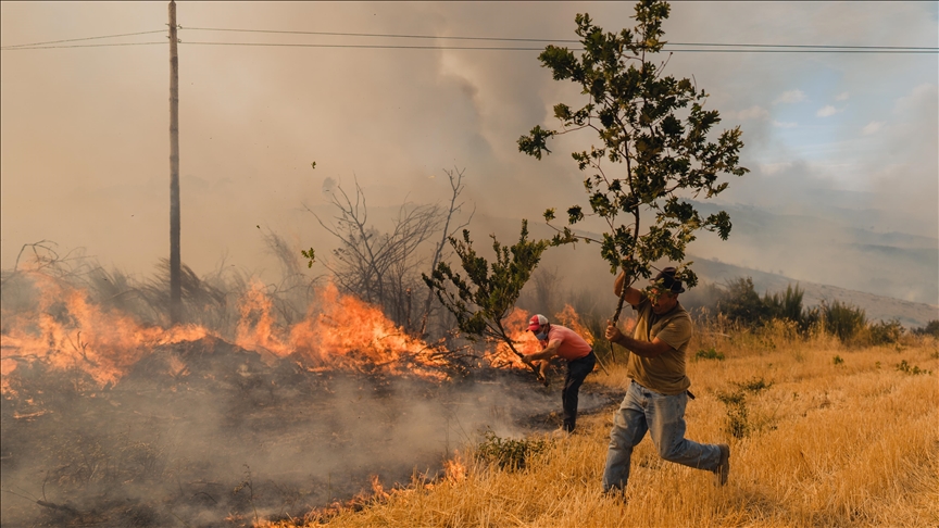 Ongoing fires in Portugal raise death toll to 4
