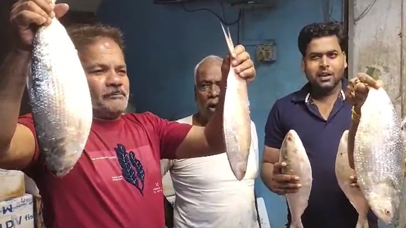 Padma hilsa reaches Kolkata, prices skyrocket